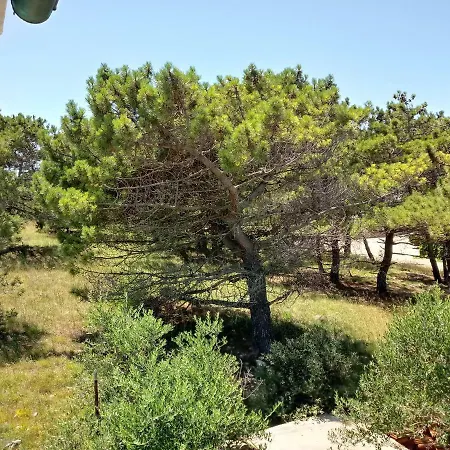 Apartament Galijot