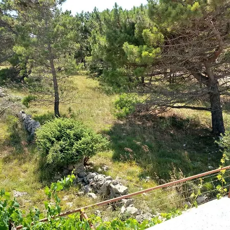 Galijot Apartment